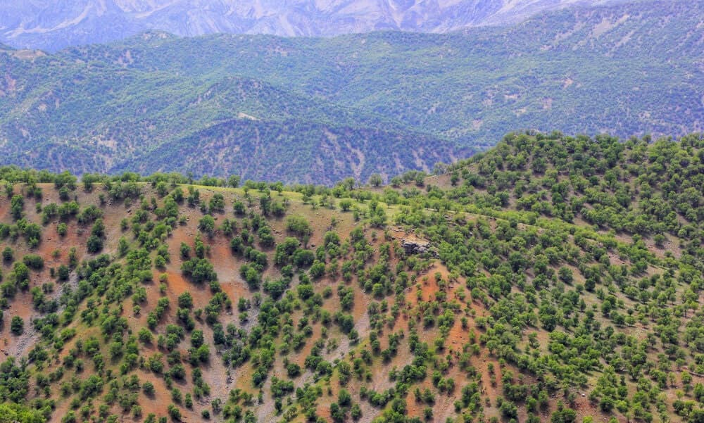 Berglandschaft bei Bazoft