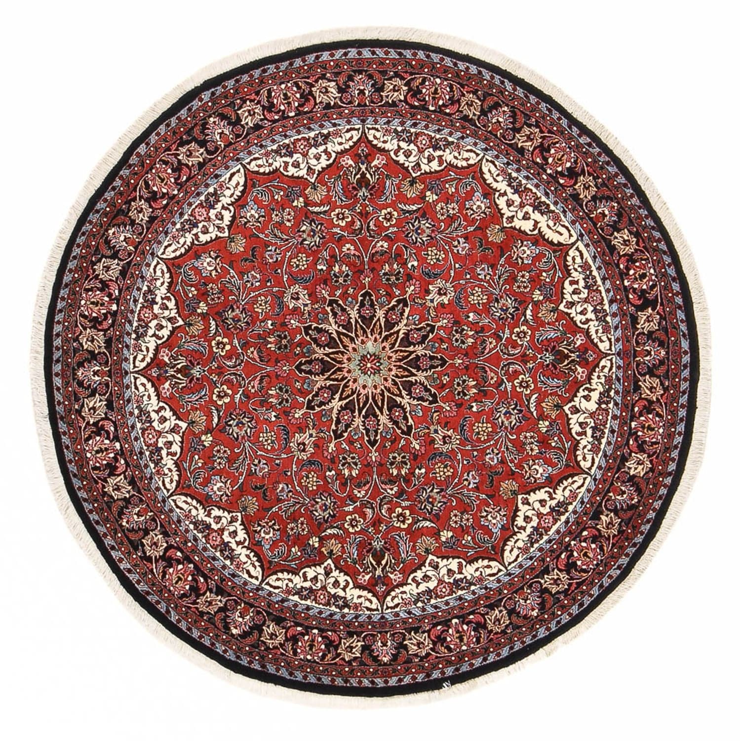 Bidjar - Zanjan 150 × 150 cm