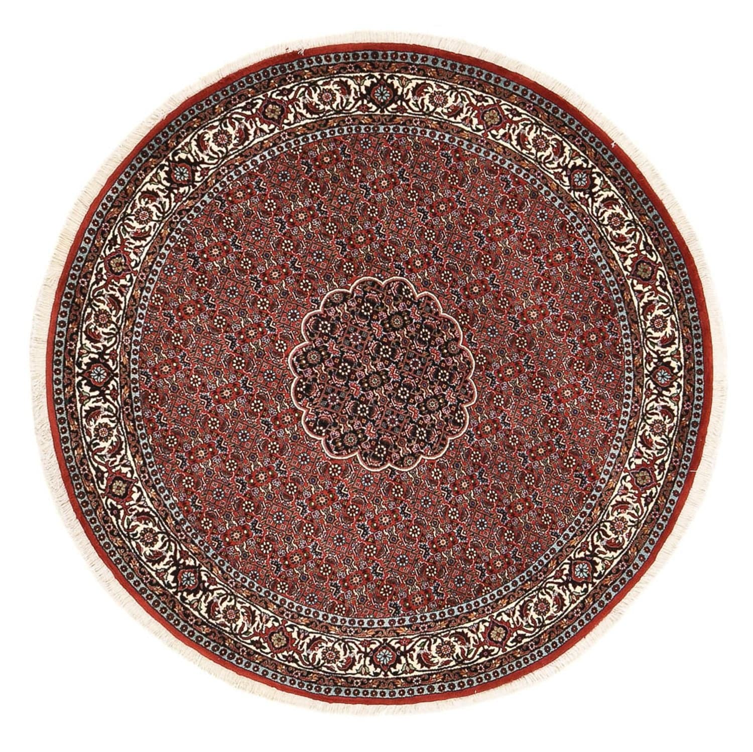 Bidjar - Zanjan 150 × 150 cm