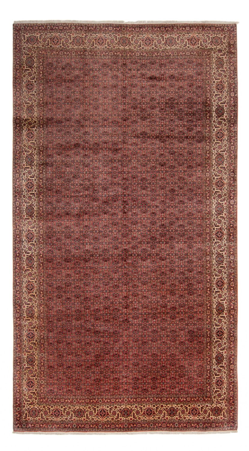 Bidjar - Takab 482 × 256 cm